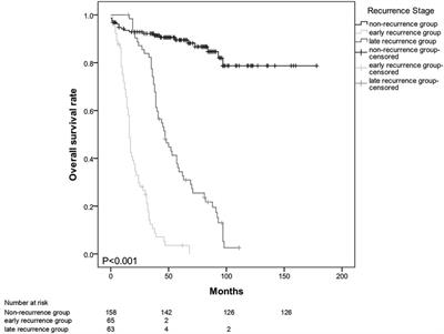 Predictors and Recurrence Patterns After Radical Surgery in Ampulla of Vater Cancer: Comparative Analysis Between Early and Late Recurrence